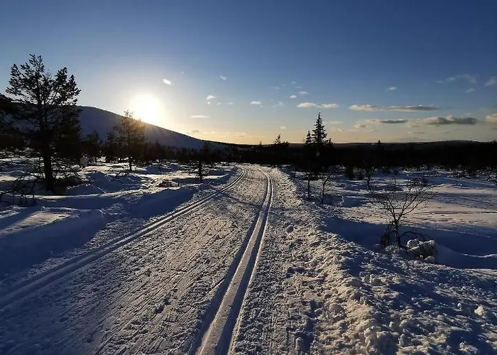 Yllaes Kanerva 105