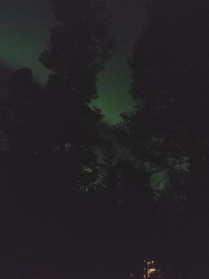 Yllaes Kanerva 105 *
